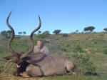 south africa kudu