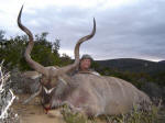 kudu photo