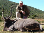 nyala south africa