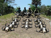 photo of trophy skulls