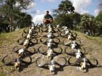 picture of hunting skulls