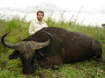 Mozambique hunt