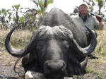 hunting Mozambique