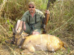 bushbuck