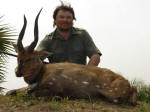 bushbuck safari