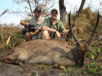 Mozambique waterbuck