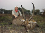 waterbuck