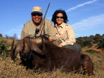 black wildebeest photo