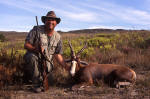 blesbuck south africa