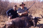 blue wildebeest photo