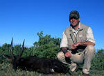 bushbuck south africa