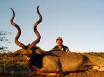kudu image