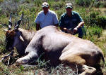 eland pic