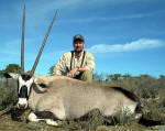 gemsbok pic