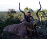 greater kudu photo