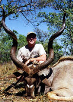 greater kudu image