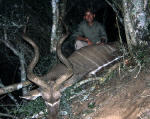 kudu pic