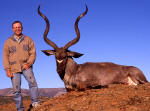 kudu image