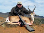 springbuck image