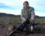 safari springbuck