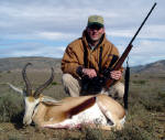 south african springbuck