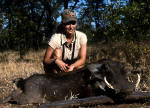 south african warthog