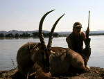 waterbuck image