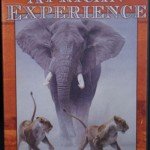 african-experience