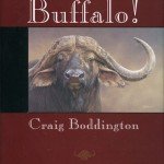 buffalo